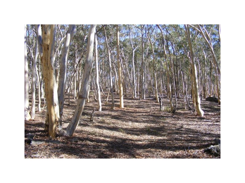 96 Winfarthing Road, Marulan NSW 2579