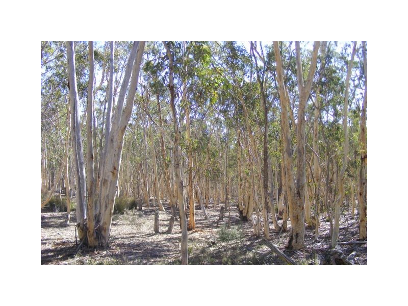 96 Winfarthing Road, Marulan NSW 2579