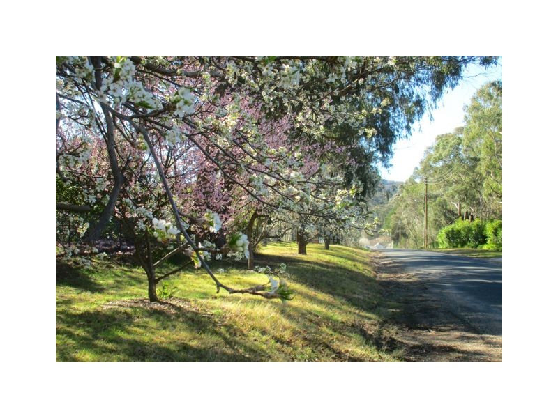 20 Merilbah Road, Bowral NSW 2576