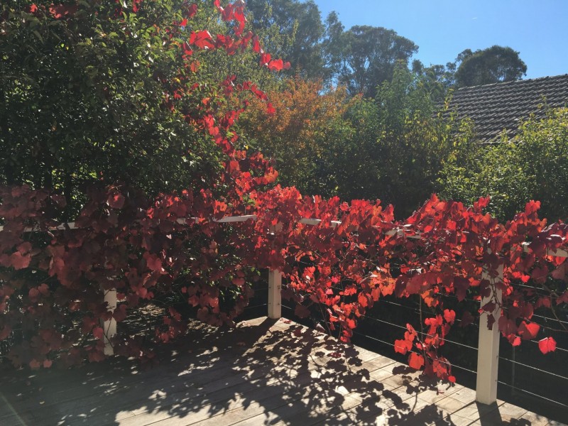 29 Sheffield Road, Bowral NSW 2576