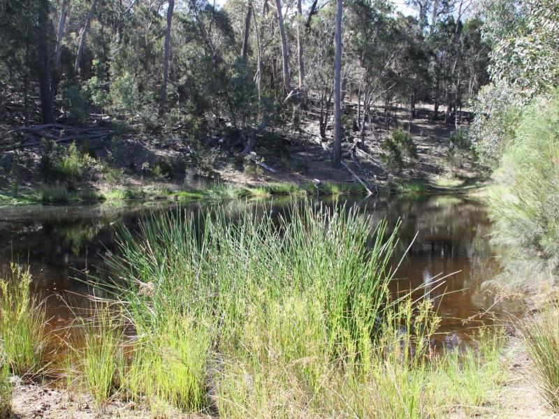 468 Williams Drive, Tarago NSW 2580