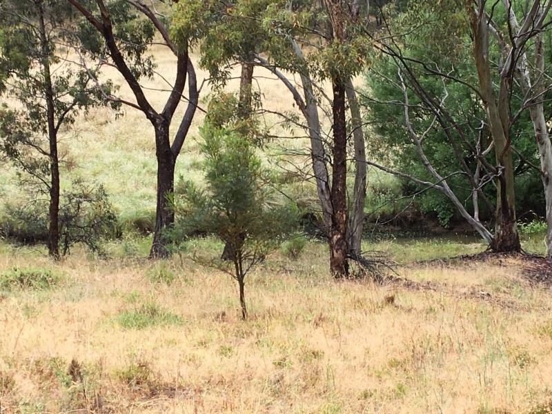 478 Forest Siding Road, Middle Arm NSW 2580