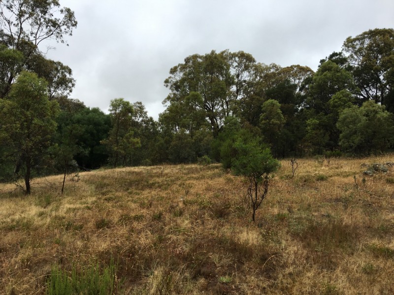 478 Forest Siding Road, Middle Arm NSW 2580