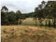 478 Forest Siding Road, Middle Arm NSW 2580