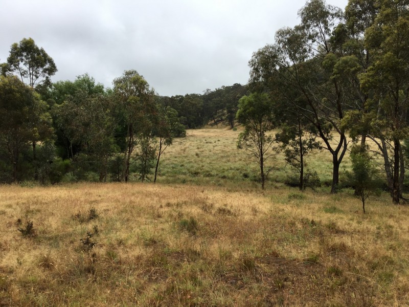 478 Forest Siding Road, Middle Arm NSW 2580