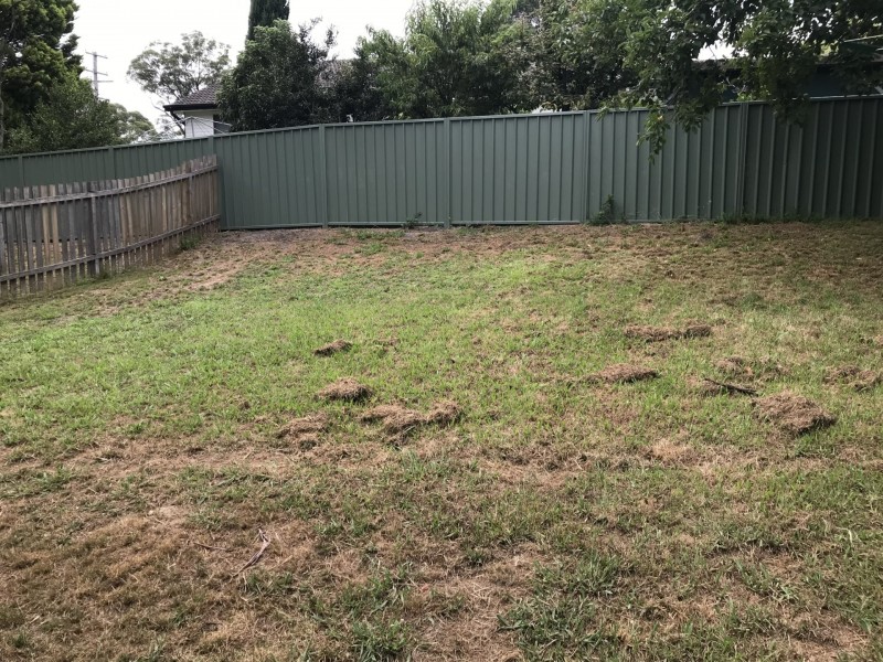 41 Price Street, Bowral NSW 2576