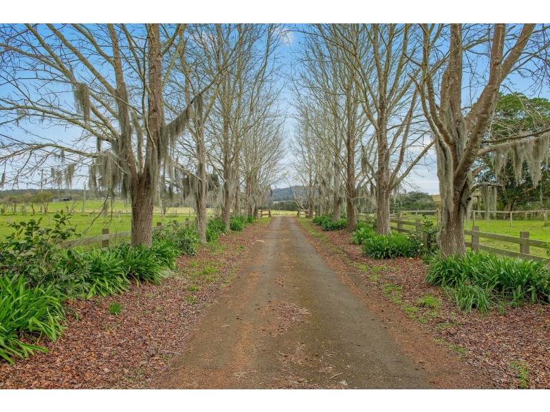 114 Hartys Plains Road, Hartys Plains NSW 2446