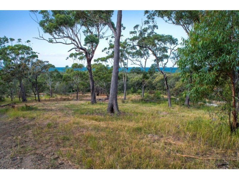 172 Point Plomer Road, Crescent Head NSW 2440