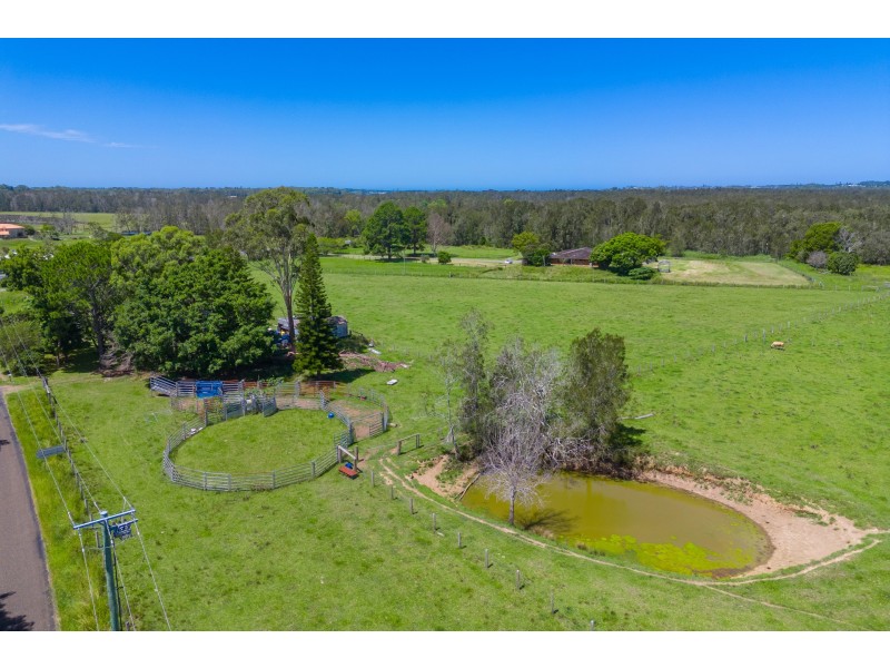 385 Fernbank Creek Road, Fernbank Creek NSW 2444