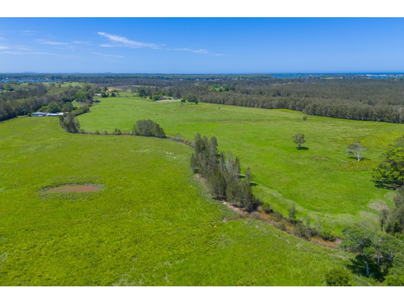 385 Fernbank Creek Road, Fernbank Creek NSW 2444
