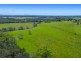 385 Fernbank Creek Road, Fernbank Creek NSW 2444