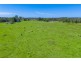 385 Fernbank Creek Road, Fernbank Creek NSW 2444