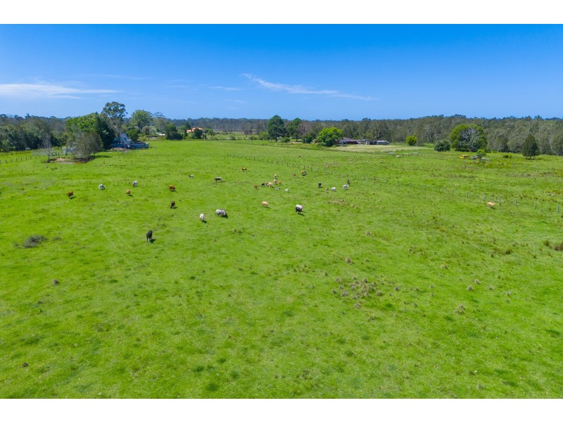 385 Fernbank Creek Road, Fernbank Creek NSW 2444