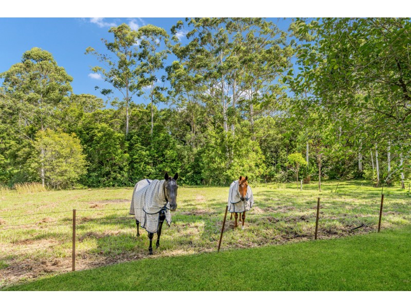 46 Old King Creek Road, King Creek NSW 2446