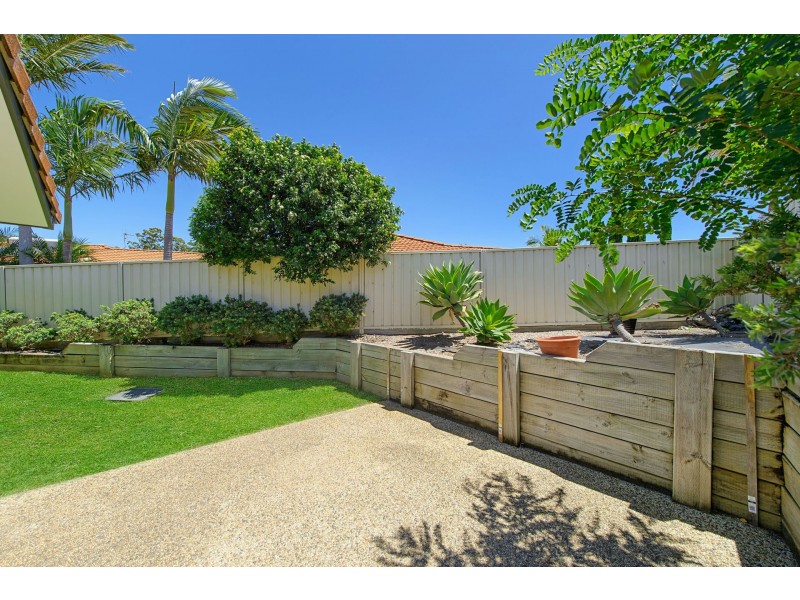 3/16 Macleay Place, Port Macquarie NSW 2444