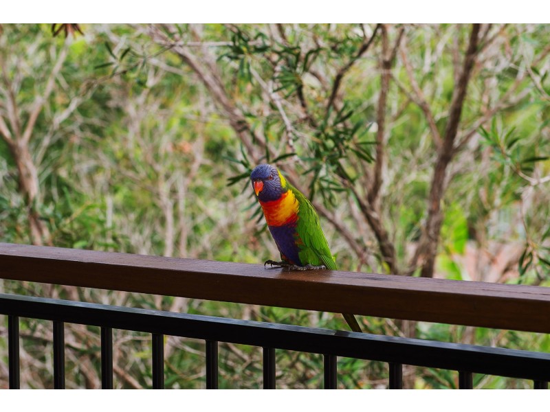 75 Granite Street, Port Macquarie NSW 2444