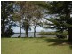 115 Riverside Drive, Port Macquarie NSW 2444
