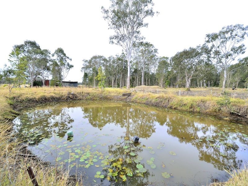 335 Blackmans Point Road, Blackmans Point NSW 2444