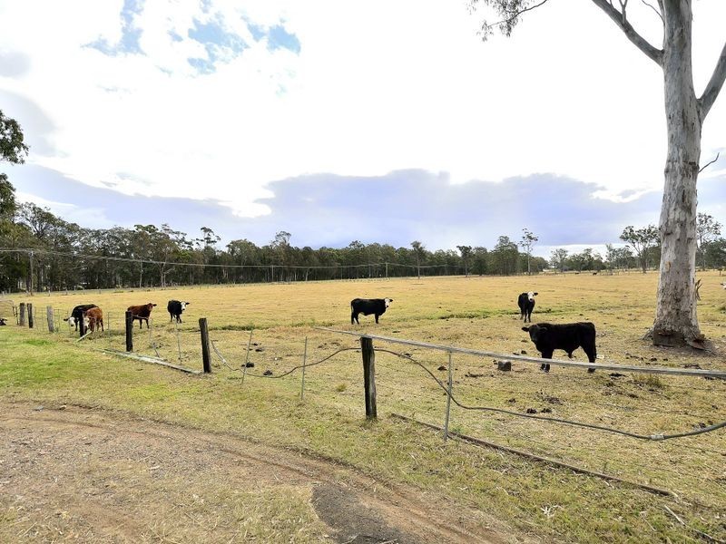 335 Blackmans Point Road, Blackmans Point NSW 2444
