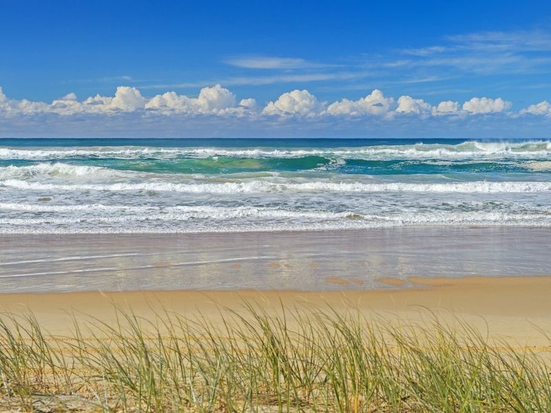 334 Plomer Road, Port Macquarie NSW 2444