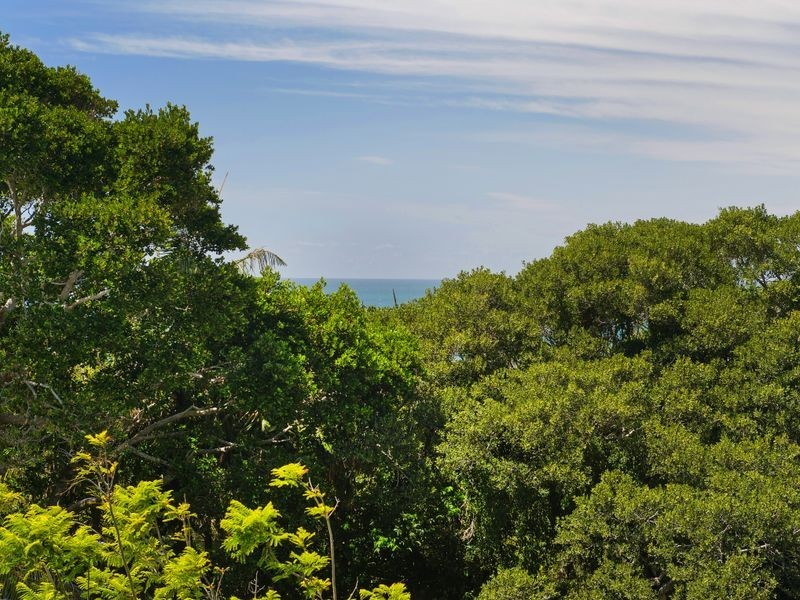 19 Lighthouse Road, Port Macquarie NSW 2444
