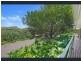 16 Leura Place, Port Macquarie NSW 2444