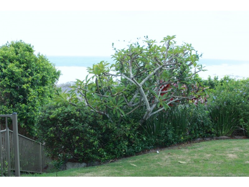 6A Dent Crescent, Port Macquarie NSW 2444