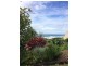 6A Dent Crescent, Port Macquarie NSW 2444