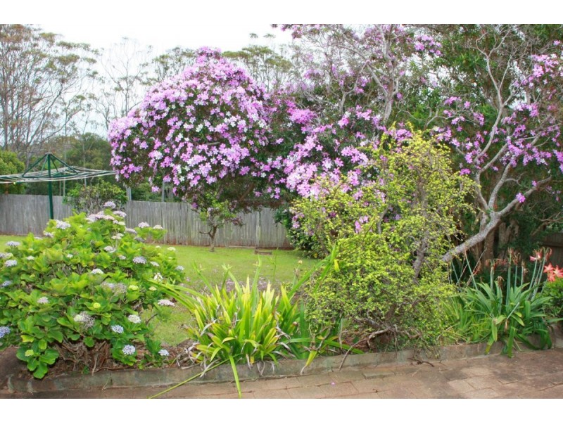 197 Granite Street, Port Macquarie NSW 2444