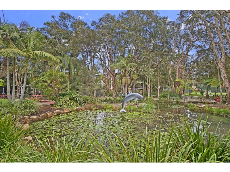 213/68 Pacific Drive, Port Macquarie NSW 2444