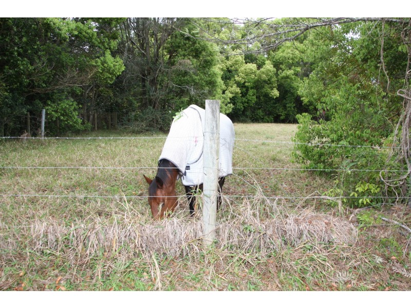 248 Hasting River Drive, Port Macquarie NSW 2444