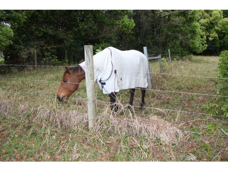 248 Hasting River Drive, Port Macquarie NSW 2444