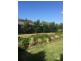 4 Jabiru Way, Port Macquarie NSW 2444