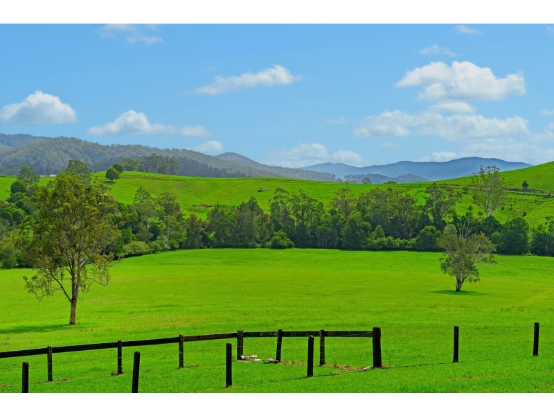1194 Comboyne Road, Byabarra NSW 2446