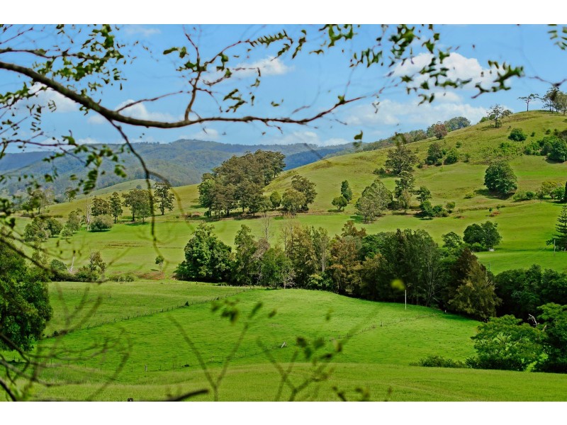 1194 Comboyne Road, Byabarra NSW 2446