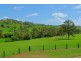 1194 Comboyne Road, Byabarra NSW 2446