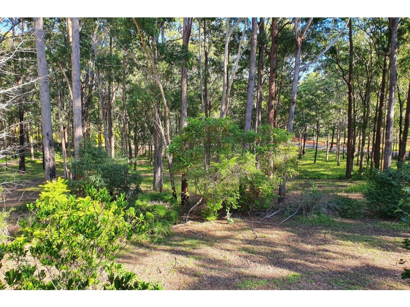 7 Bestglen Place, Port Macquarie NSW 2444