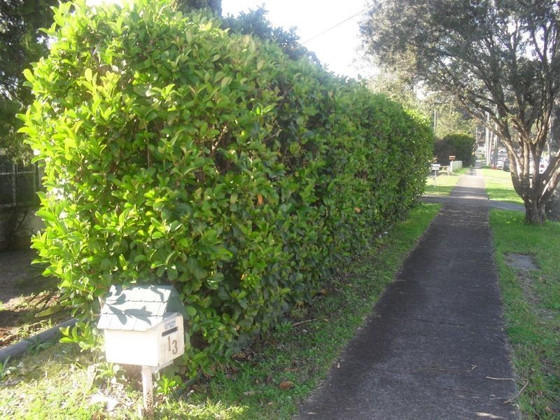 13 Ford Street, North Ryde NSW 2113