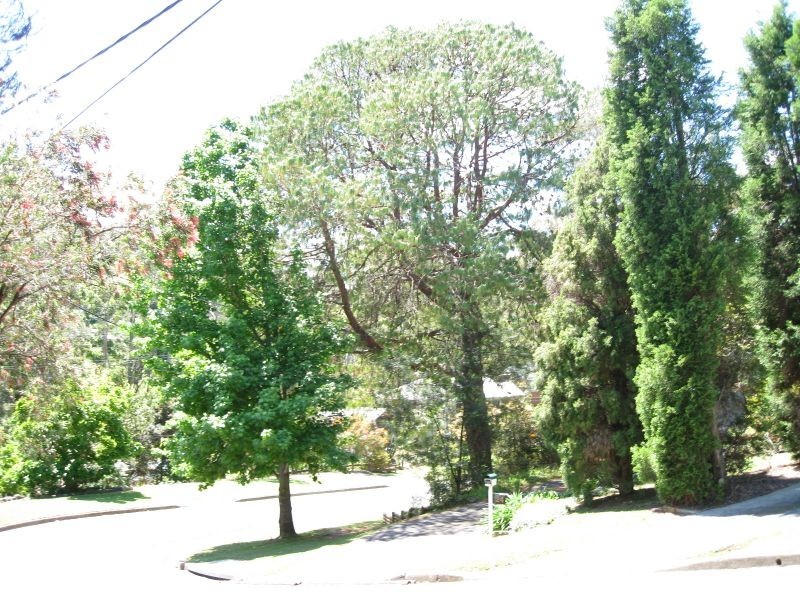 27 Carson Street, Dundas NSW 2117