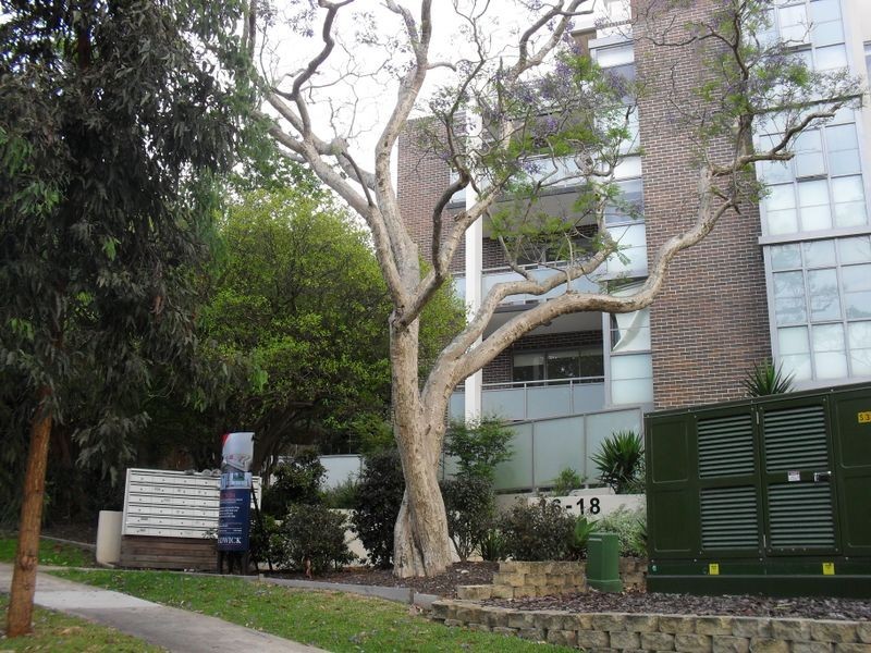 20/16-18 Boyd Street, Turramurra NSW 2074