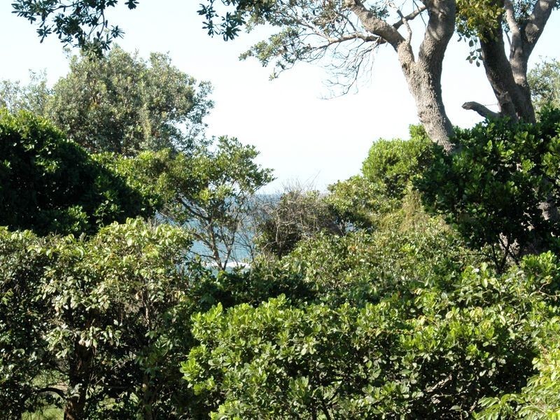 66 Chepana Street, Lake Cathie NSW 2445