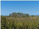 14 Timothy Place, Port Macquarie NSW 2444