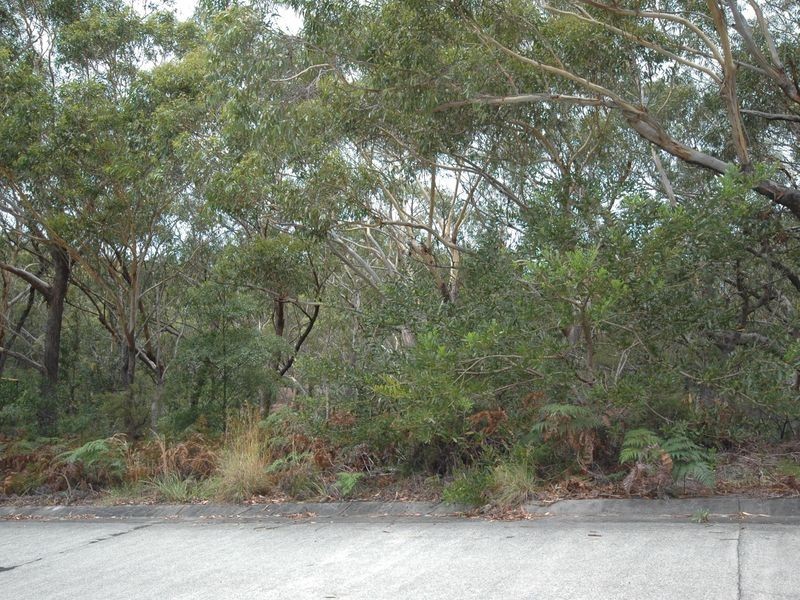 15 Birramal Drive, Dunbogan NSW 2443