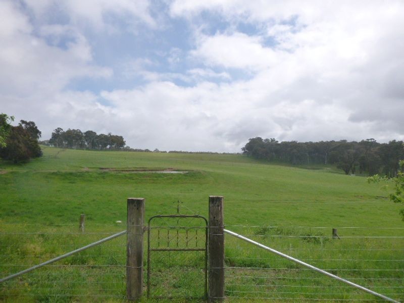 ‘Martindal Scribbly Gum Lane, Portland NSW 2847