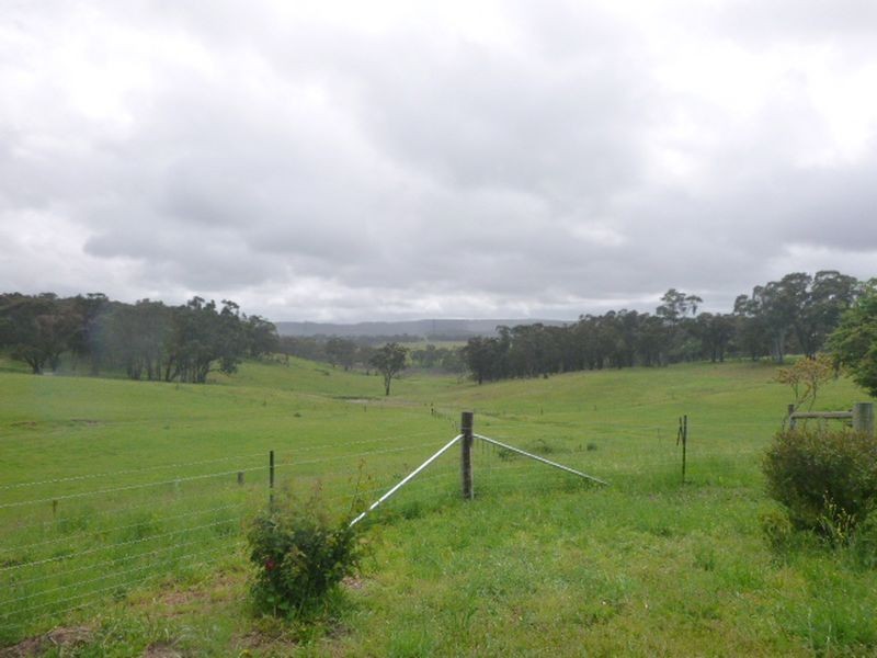 ‘Martindal Scribbly Gum Lane, Portland NSW 2847