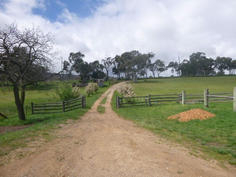 ‘Martindal Scribbly Gum Lane, Portland NSW 2847