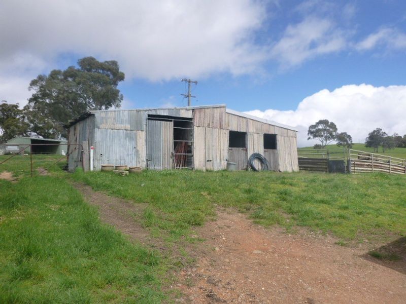 ‘Martindal Scribbly Gum Lane, Portland NSW 2847