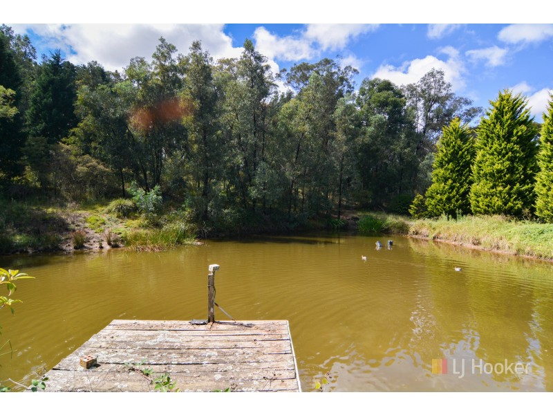 207 Baaners Lane, Little Hartley NSW 2790