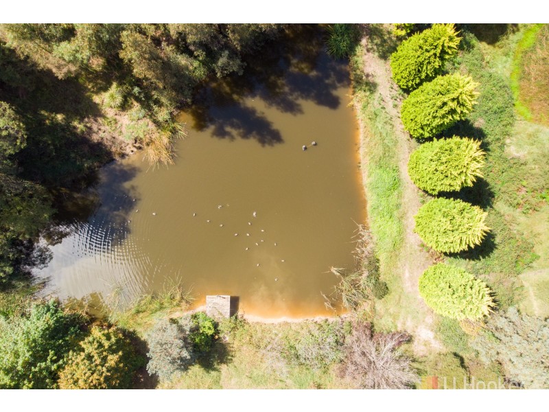 207 Baaners Lane, Little Hartley NSW 2790