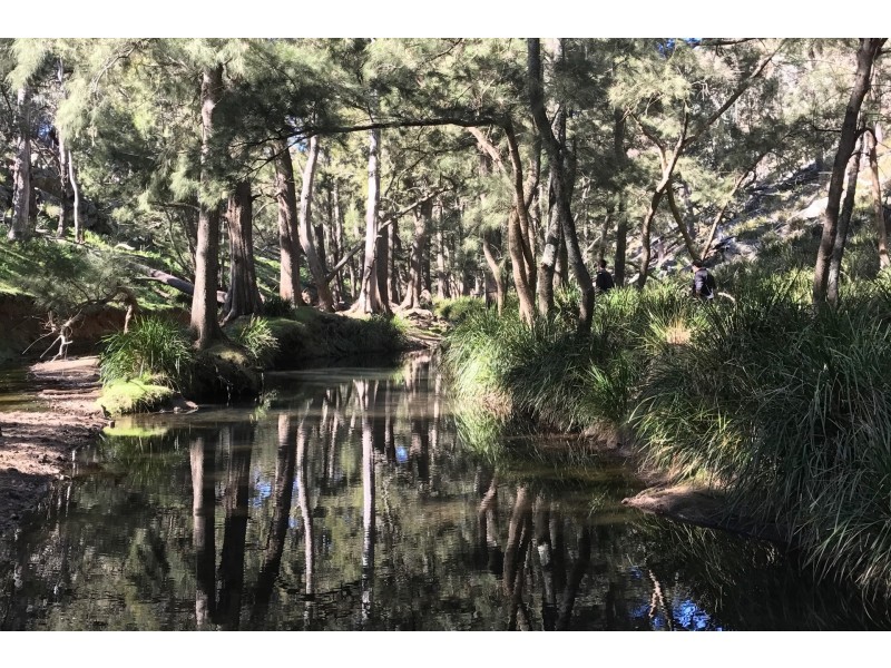Lot 4 Upper Turon Road, Capertee NSW 2846